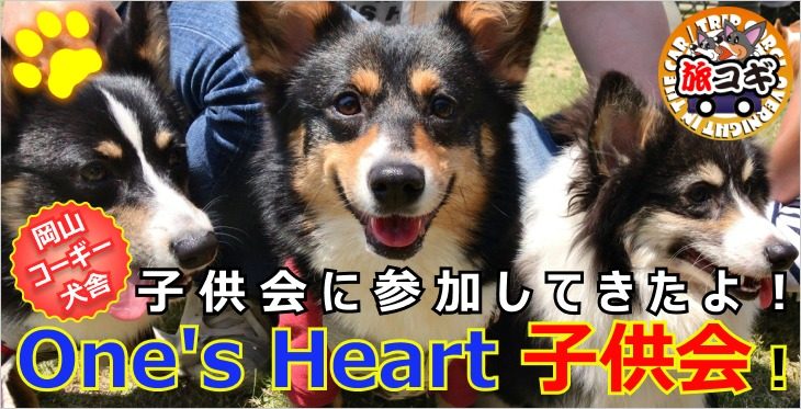 岡山のコーギー犬舎、One's Heart（ワンズハート）！子供会に参加してきたよ。