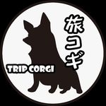 trip_corgi